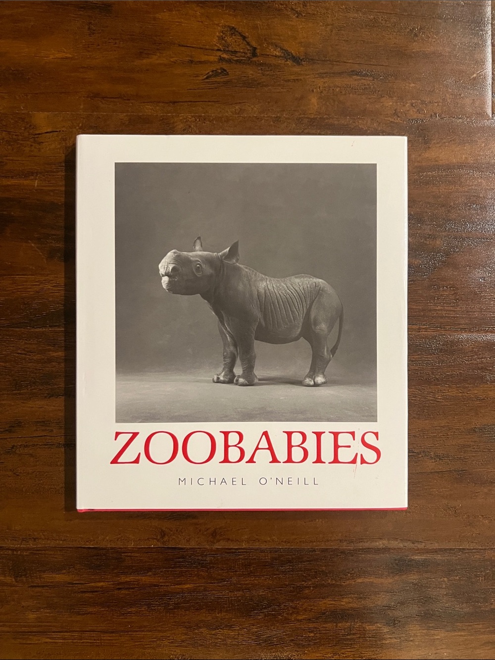 5/$10 Kids Books | Zoobabies by Michael O'Neill